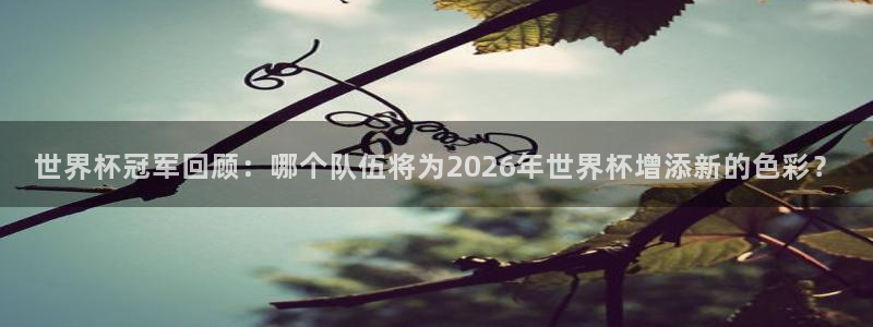 2026世界杯小组赛赛程时间表:世界杯冠军回顾:哪个队伍将为2026年世界杯增添新的色彩?