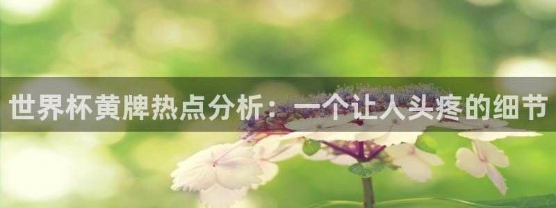 足球世界杯:世界杯黄牌热点分析:一个让人头疼的细节