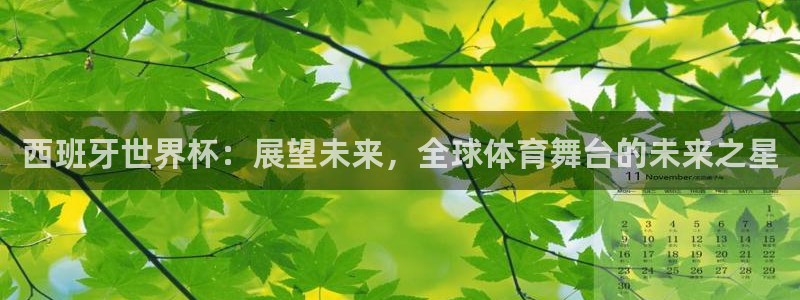 2026年足球世界杯赛程时间表:西班牙世界杯:展望未来,全球体育舞台的未来之星